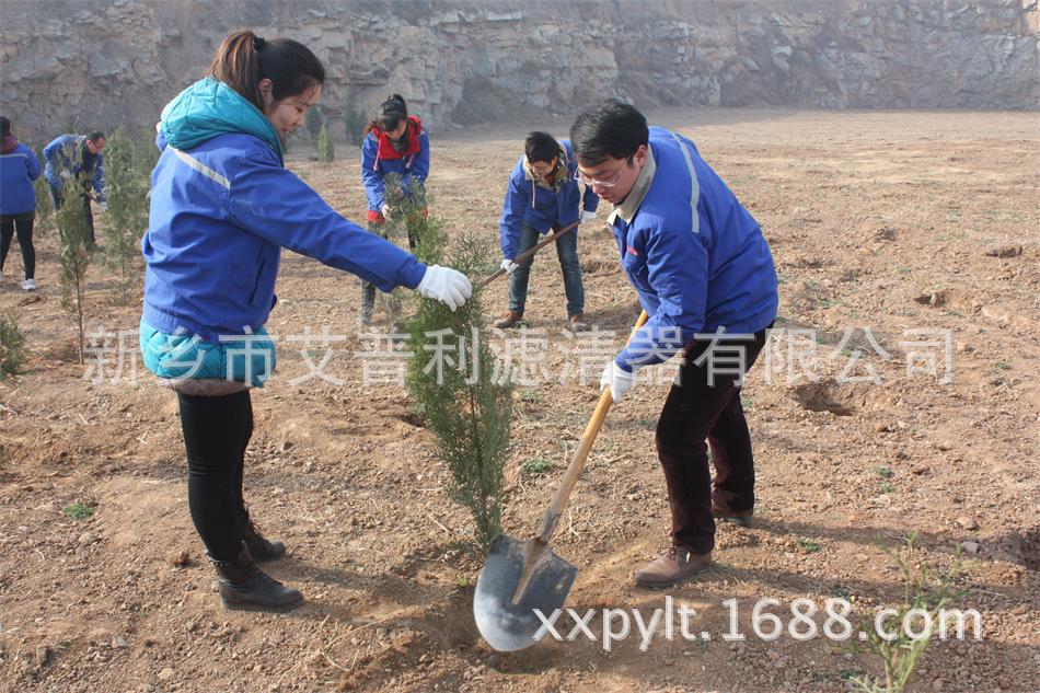 艾普利鳳凰山植樹(shù)，為美麗新鄉(xiāng)添新綠(圖2)